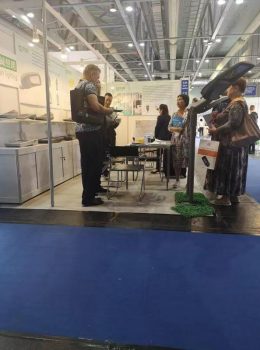 תערוכת תערוכה